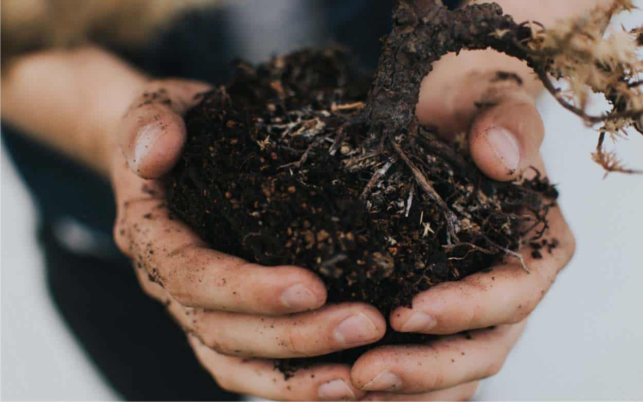 Tester del suolo, misuratore di acidità del suolo Umidità del suolo e  umidità Ph Rilevatore di valore Dispositivo di misurazione del suolo per  orticoltura Vaso Giardino Agricoltura