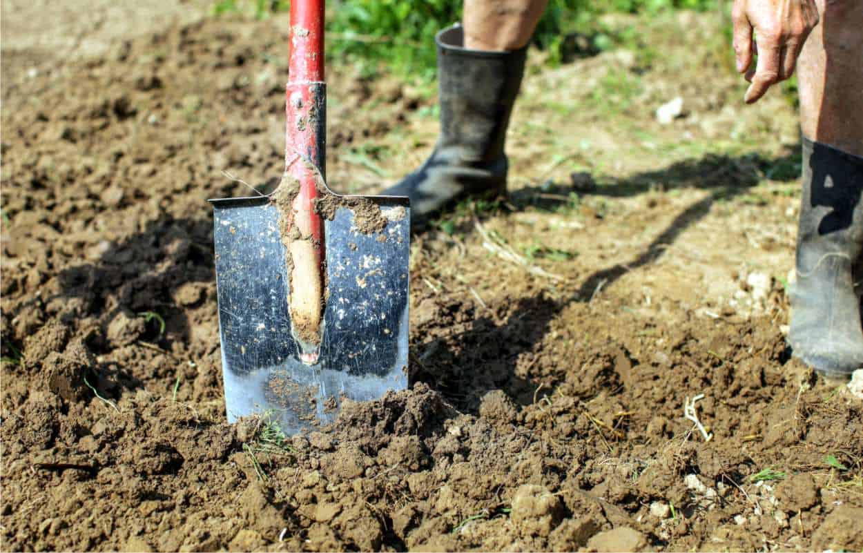 come vangare il terreno