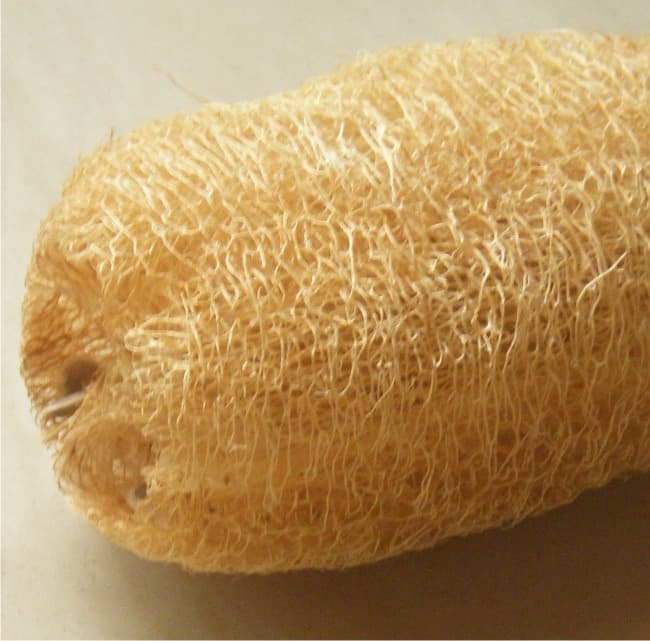 Spugna in Luffa Non Trattata