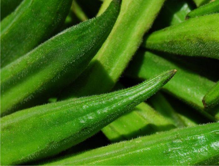 Come coltivare la okra o gombo Orto Da Coltivare