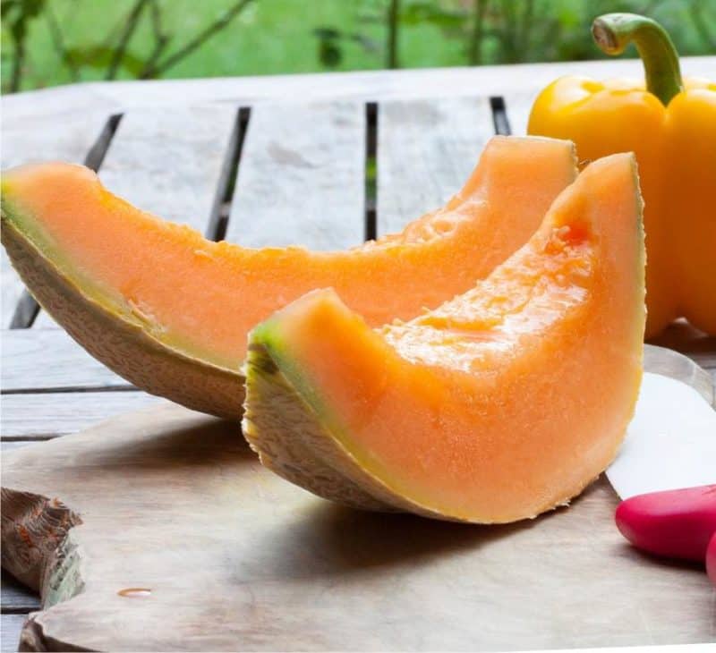 Quando raccogliere il melone trucchi per capire se è maturo