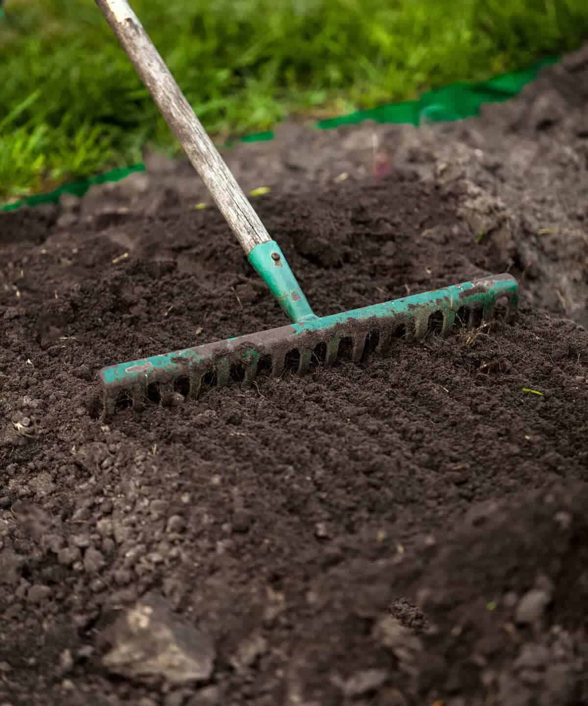 Il rastrello: attrezzi manuali per orto e giardino
