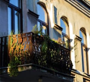 Orto Sul Balcone Come Coltivare In Vaso Orto Da Coltivare