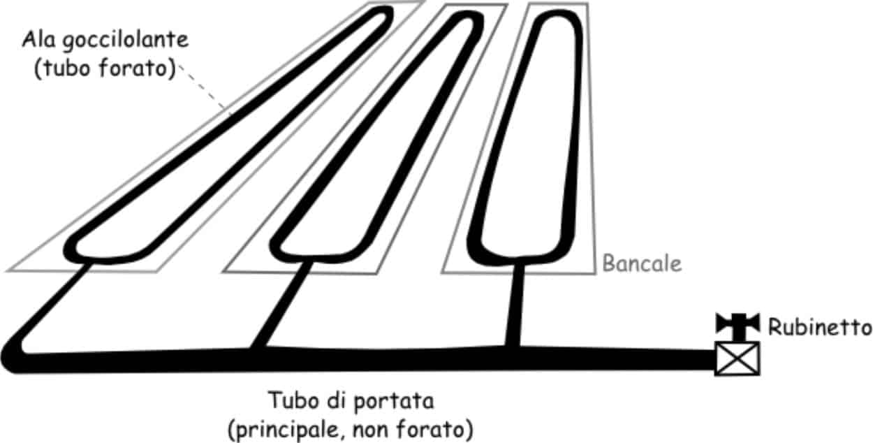 impianto d'irrigazione su bancali