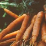 carote raccolte sane