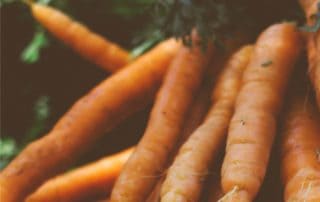 carote raccolte sane