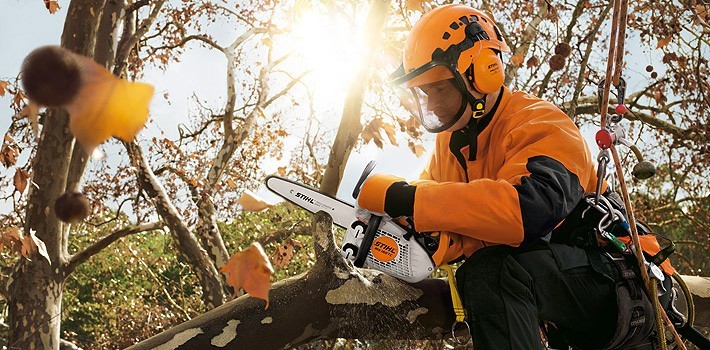 taglio su pianta con motosega stihl