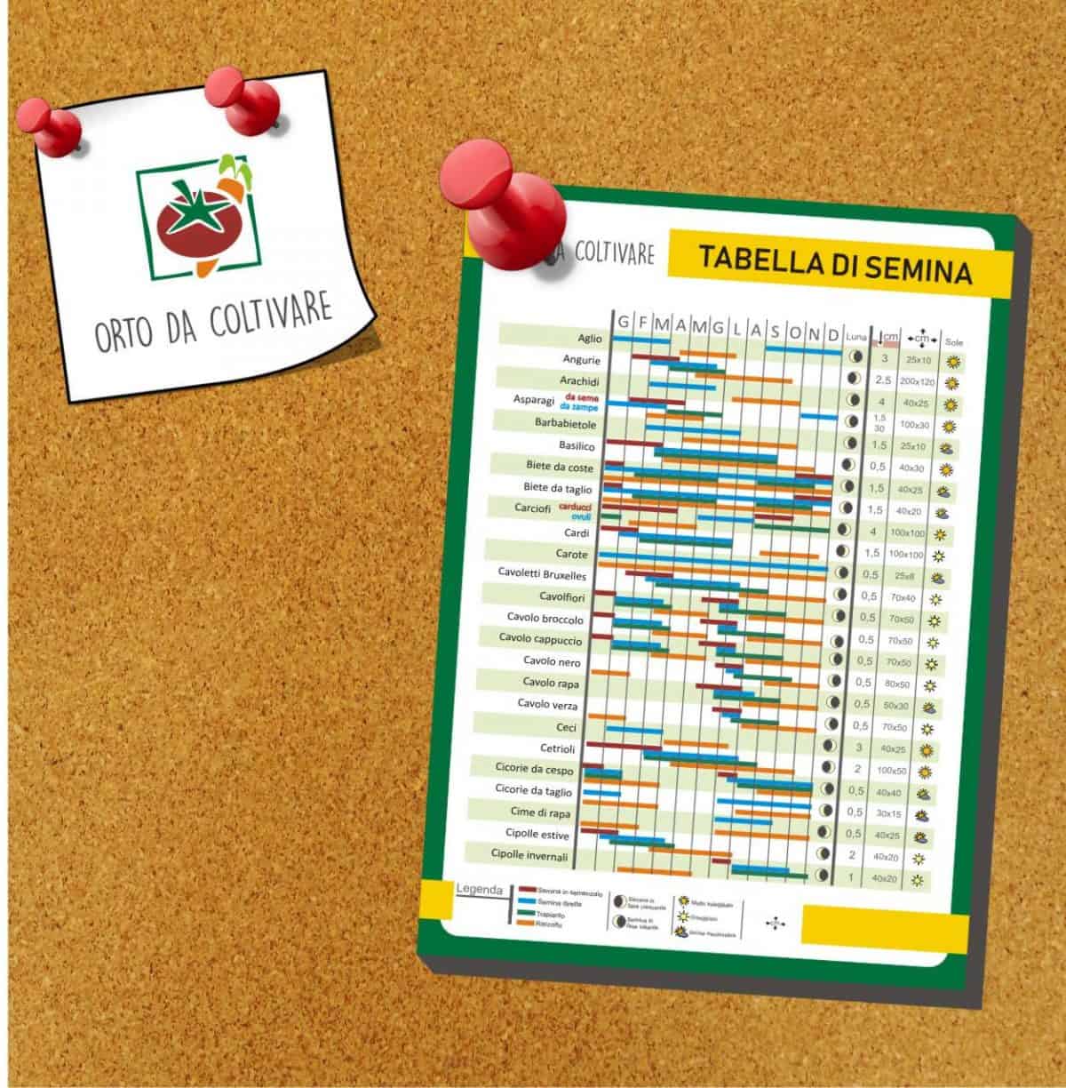 Tabella di semina di Orto Da Coltivare Scaricala gratis