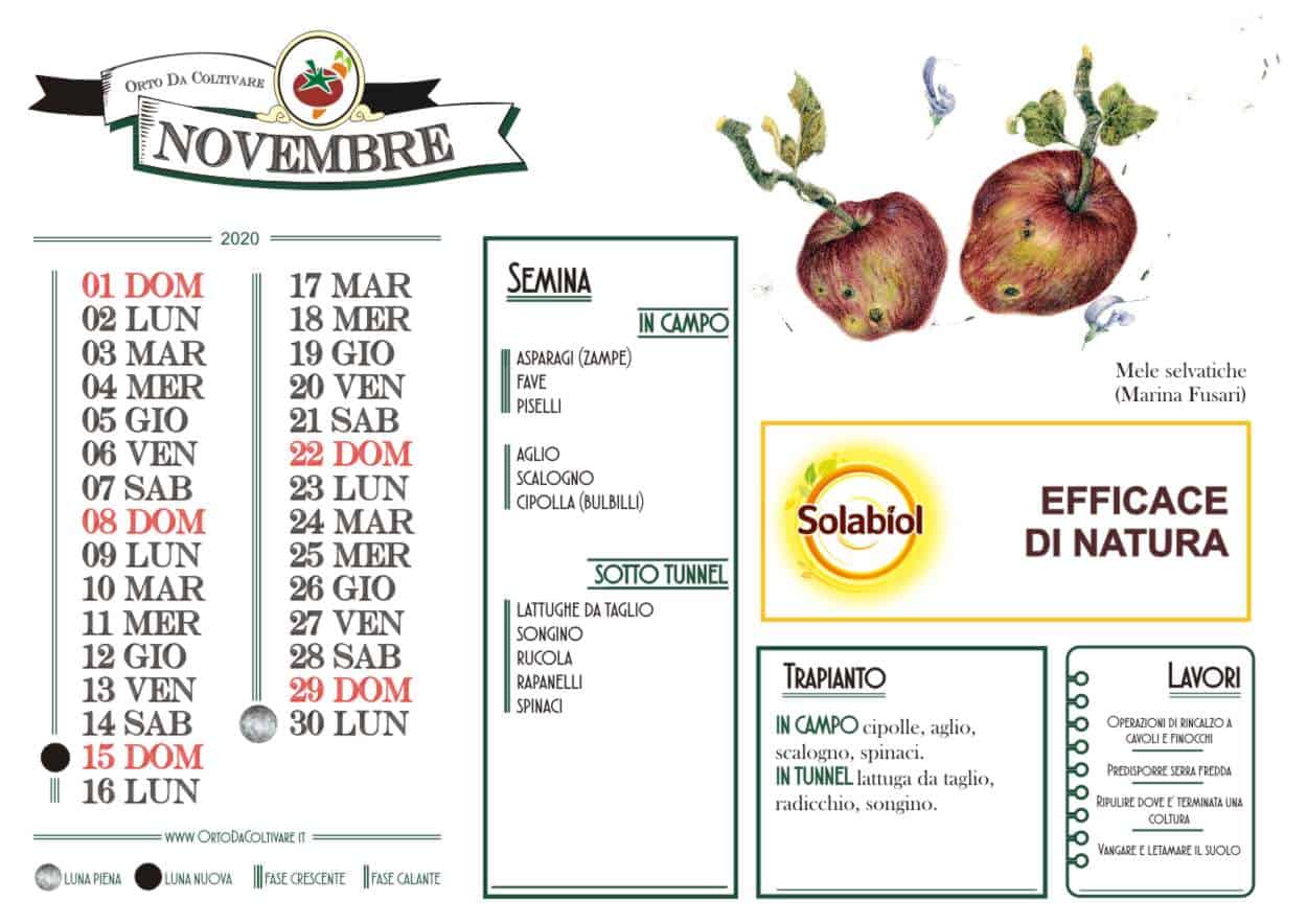 Fasi Lunari Di Novembre E Semine In Orto Odc