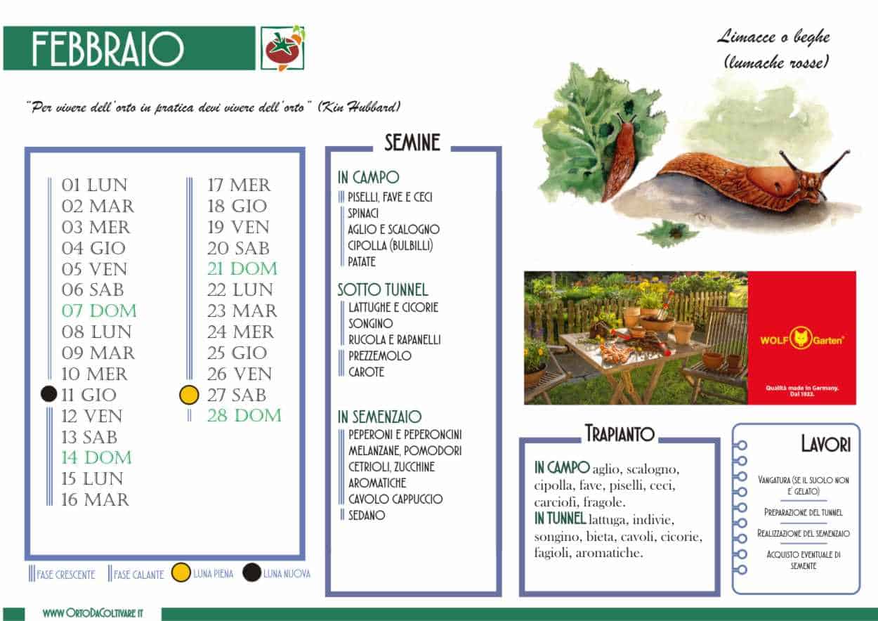 Calendario dell'orto di Febbraio 2021 Luna, semine e lavori