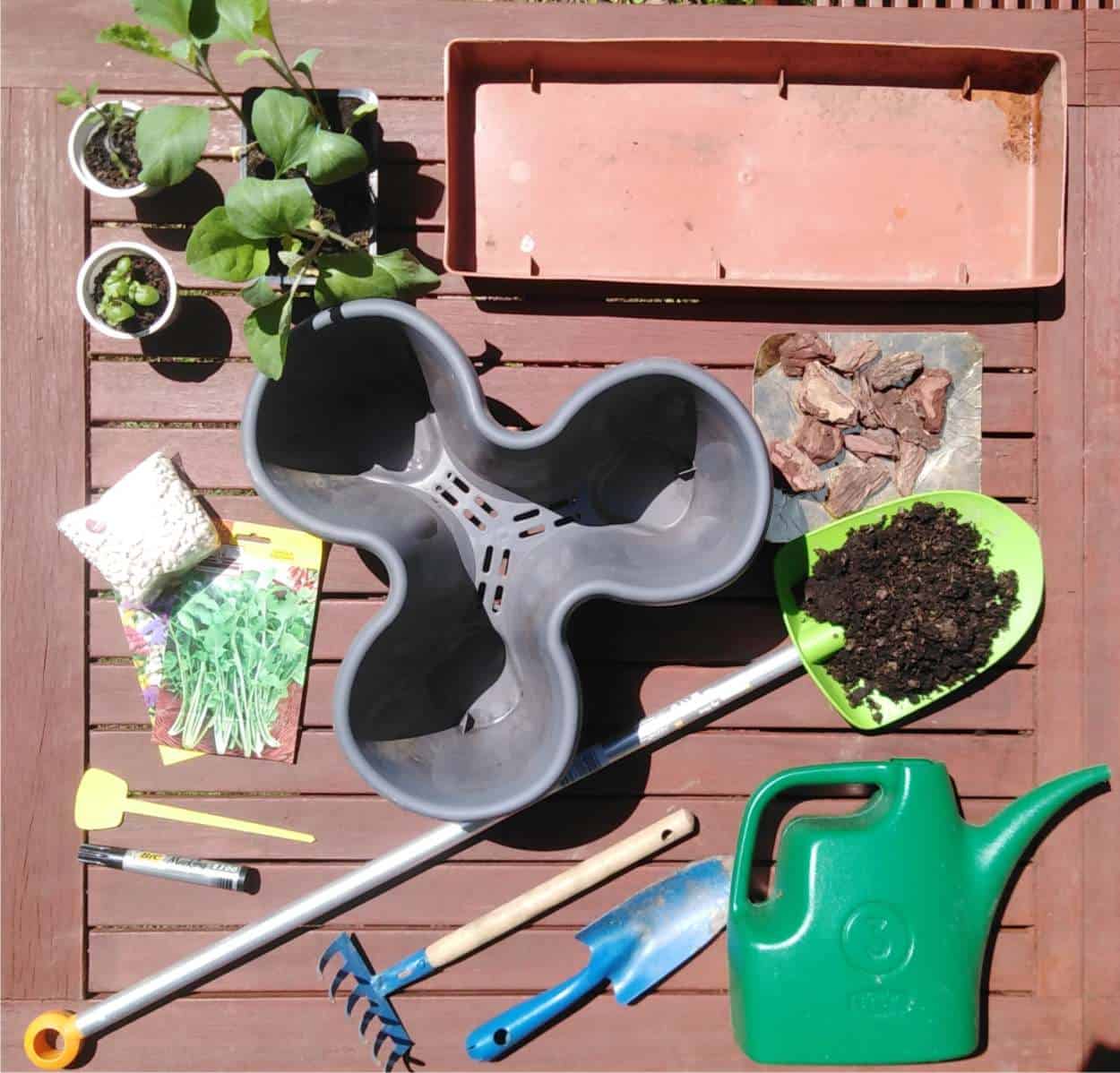 Coltivare coi bambini: come fare orto sul balcone