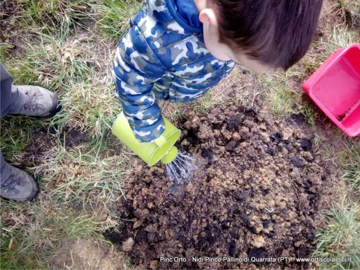 irrigare il giardino commestibile