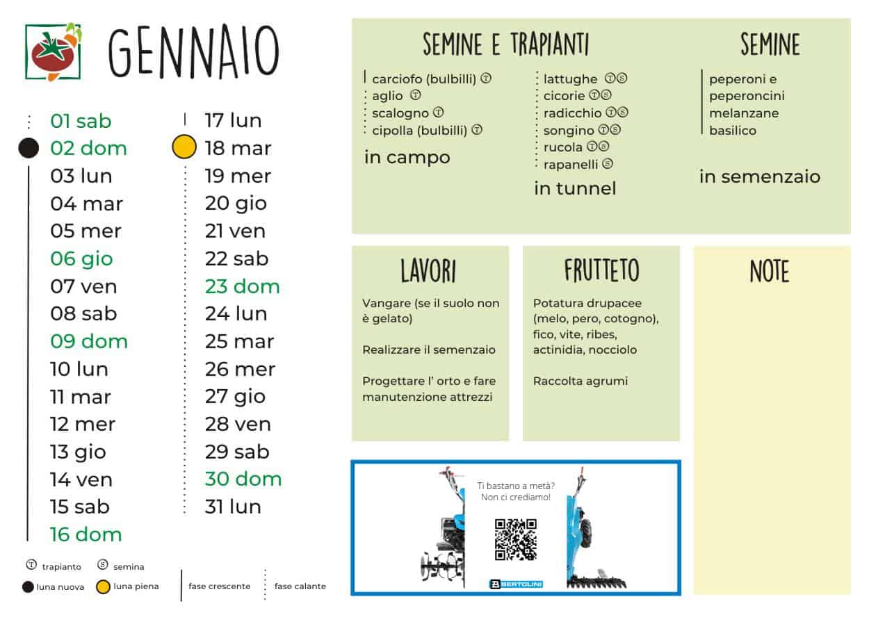 16+ Ortaggi Da Seminare Con Luna Calante lunario febbraio 2022