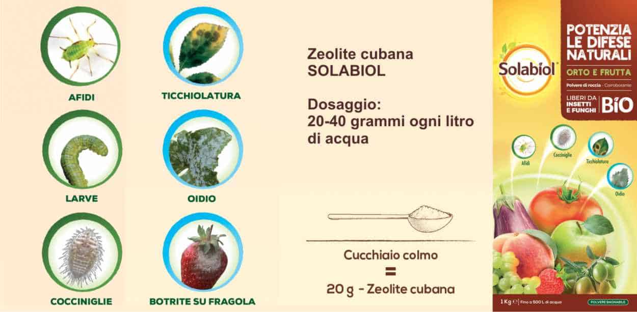 Come usare la Zeolite sulle piante contro l'attacco di insetti e funghi