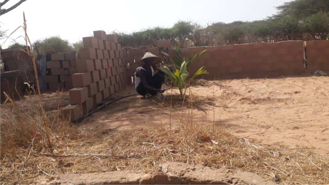 coltivazioni nel deserto