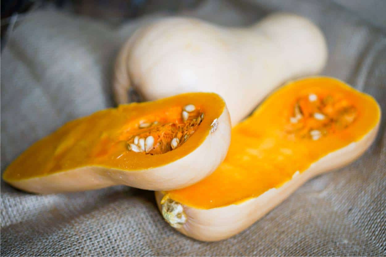 zucca butternut