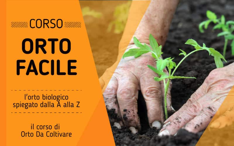 video corso sull'orto biologico