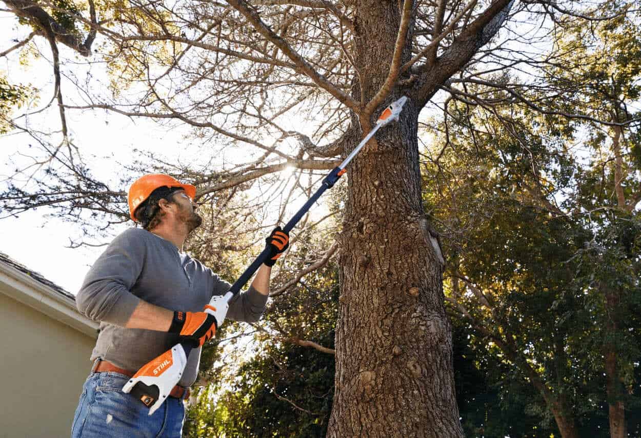 stihl hta 50