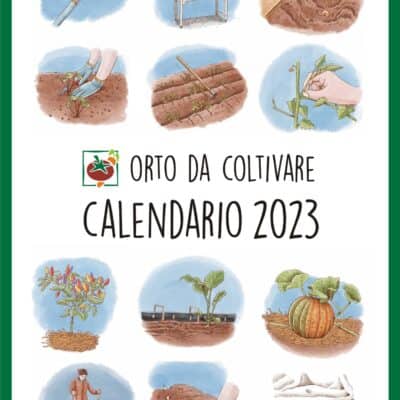 Calendario 2023 di orto da coltivare