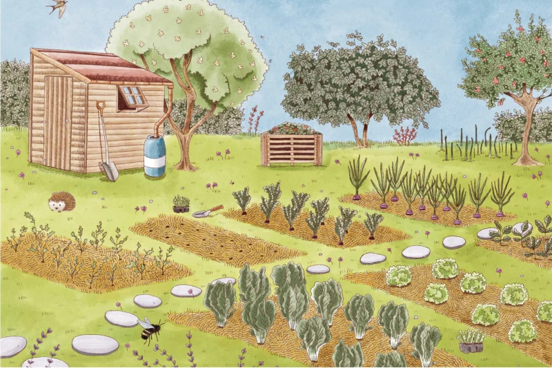 I nostri video corsi