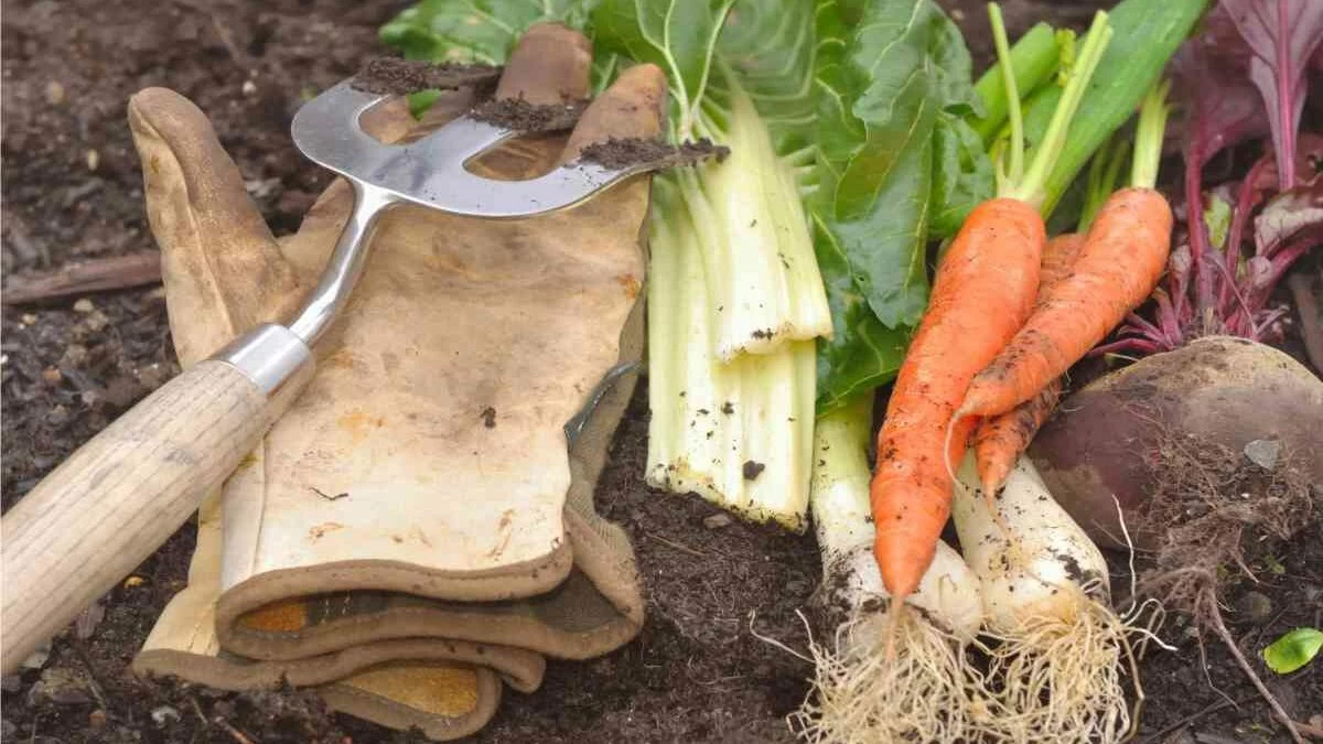 elementi nutritivi per gli ortaggi