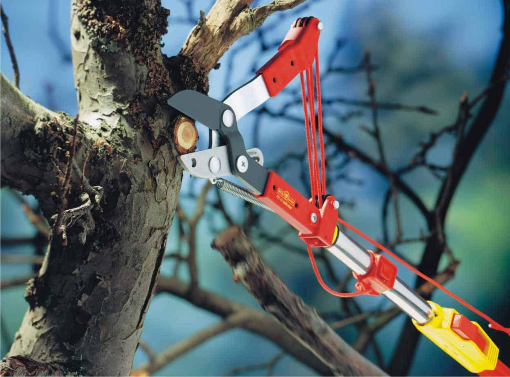 svettatoio che taglia