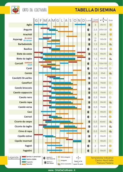 tabella di semina di orto da coltivare