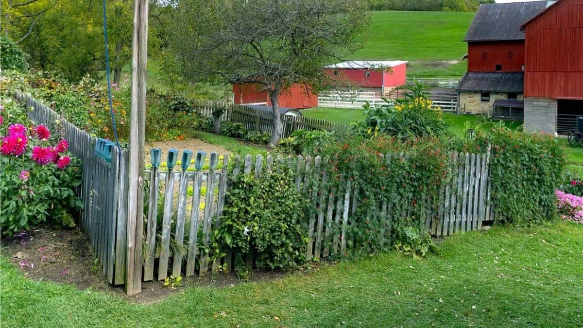 il posto dove fare l'orto