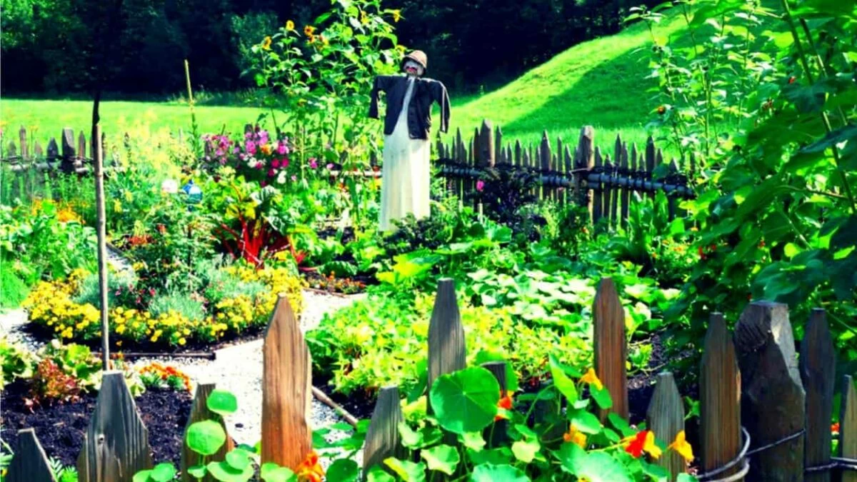 orto buoni propositi