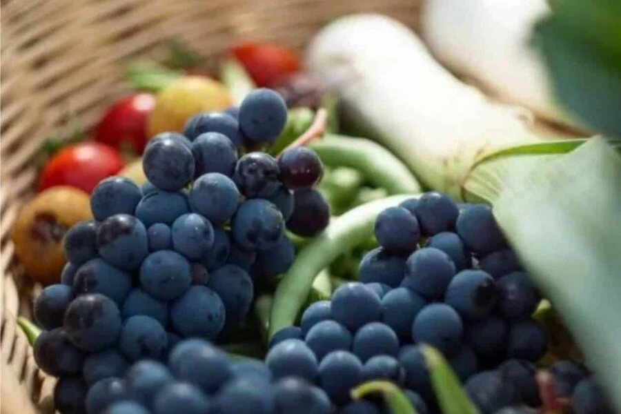 frutta e ortaggi con vitamine