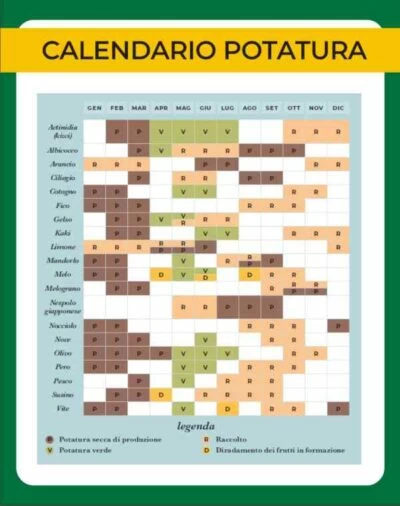 calendario potatura