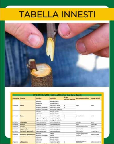 tabella innesti