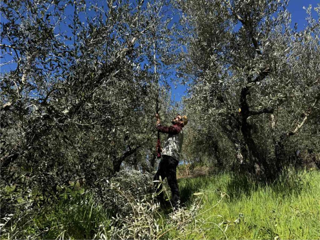 potare comodamente da terra