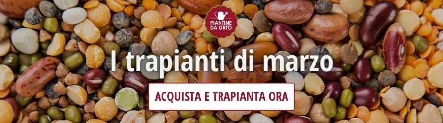 trapianti marzo