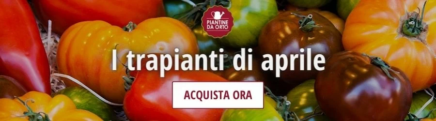 trapianti aprile