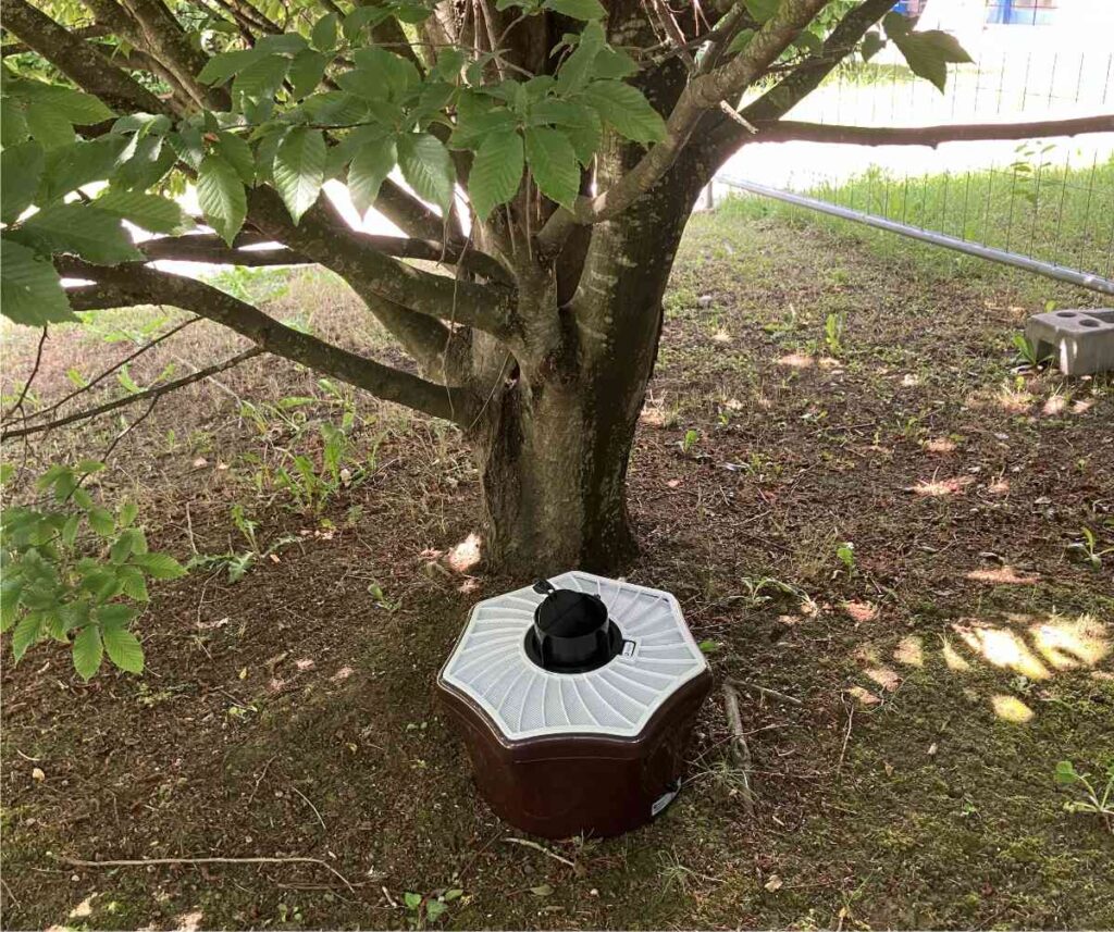 trappola per zanzare