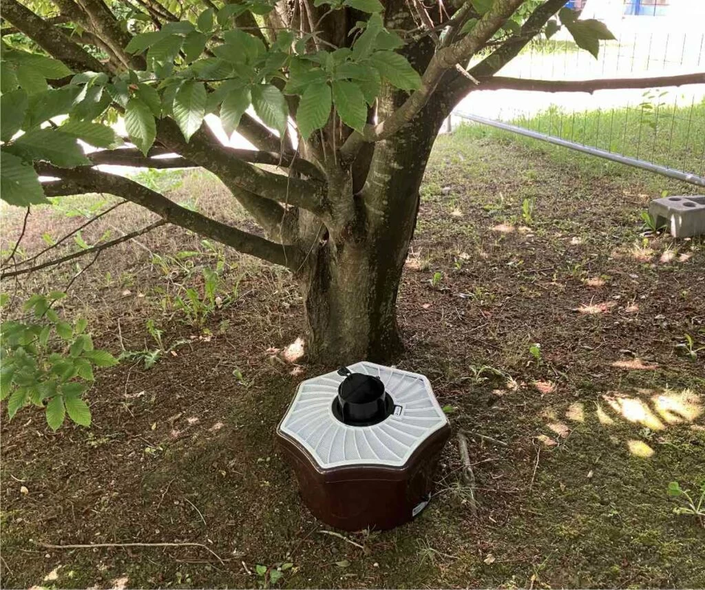 trappola per zanzare