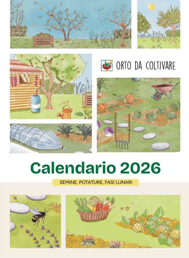 Calendario Orto Da Coltivare 2026