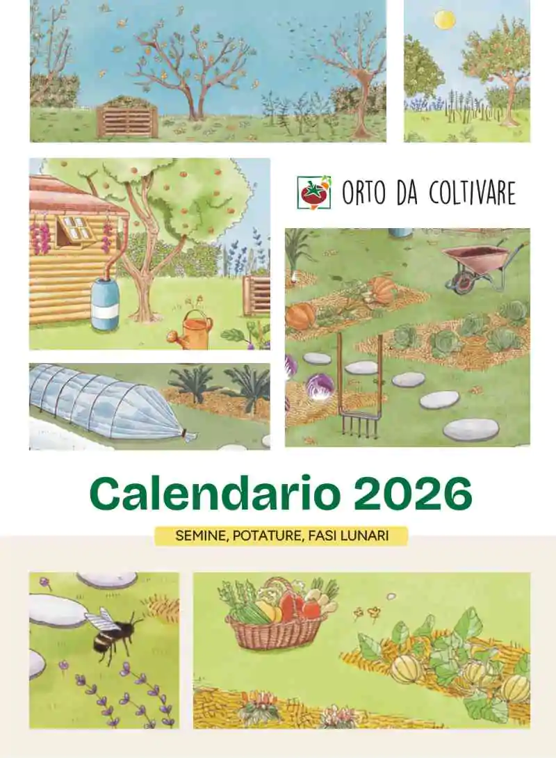Calendario Orto Da Coltivare 2026