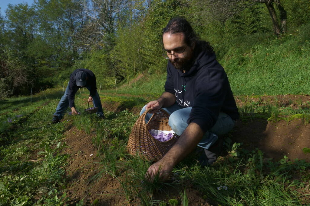 Matteo Cereda di Orto Da Coltivare lavora nell'orto