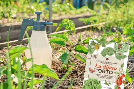 insetticidi naturali e libro difesa