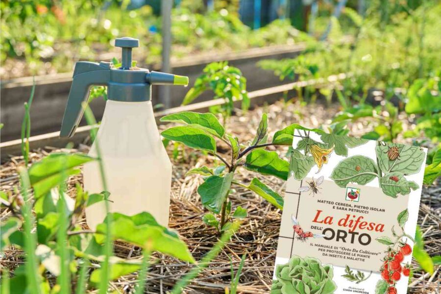 insetticidi naturali e libro difesa