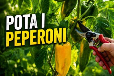 potare peperoni