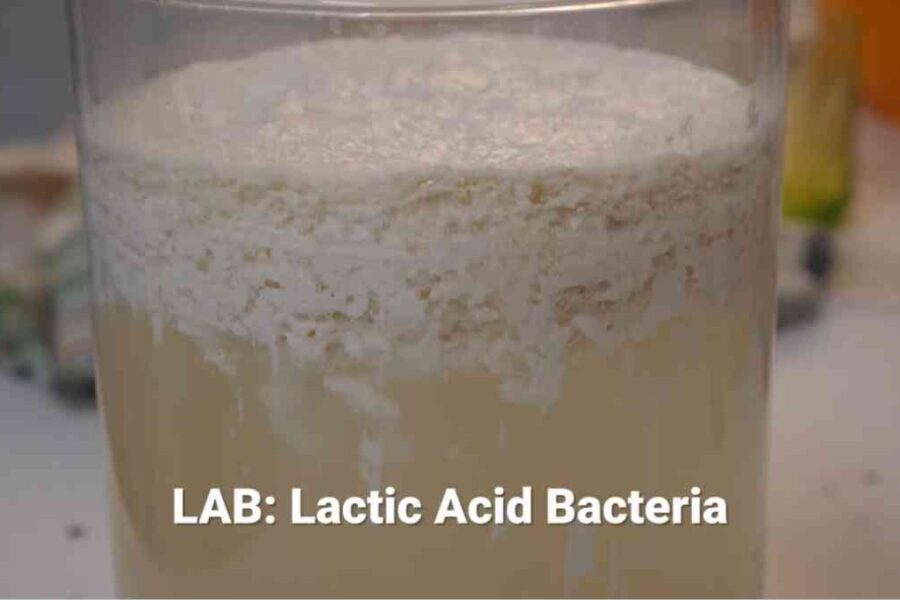 preparato LAB