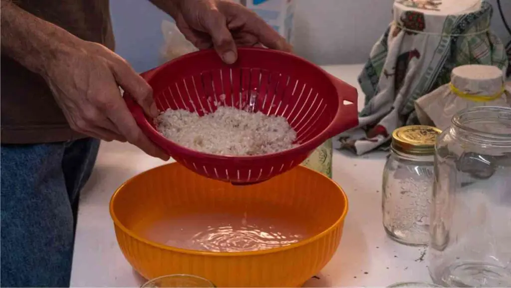 preparazione del lab